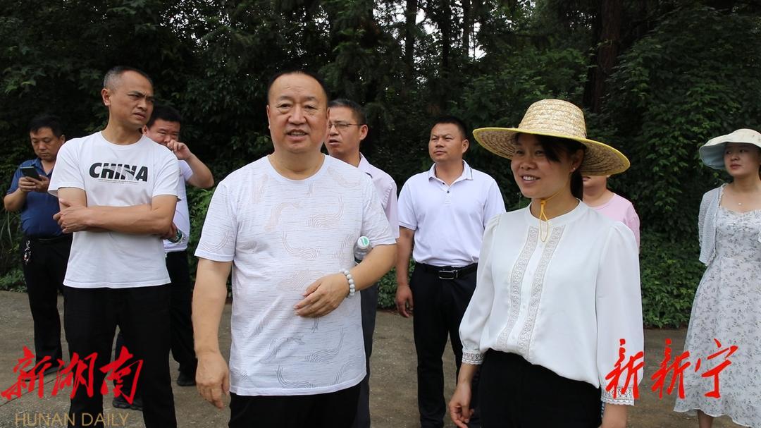  新宁县开展“受污染耕地安全利用率和化肥农药减量增效”专项民主监督调研活动_邵阳头条网